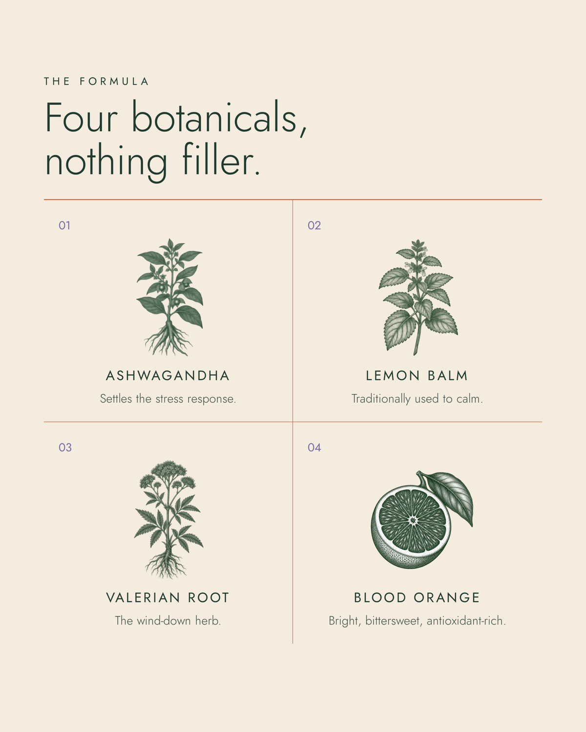 The formula: ashwagandha, lemon balm, valerian root, blood orange
