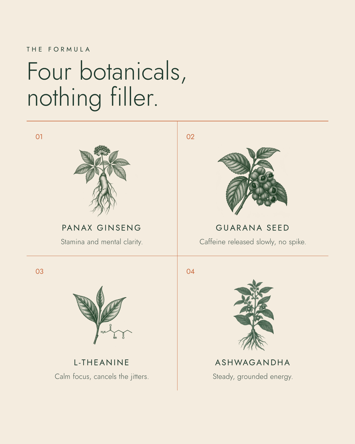 The formula: panax ginseng, guarana seed, L-theanine, ashwagandha
