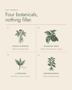 The formula: panax ginseng, guarana seed, L-theanine, ashwagandha