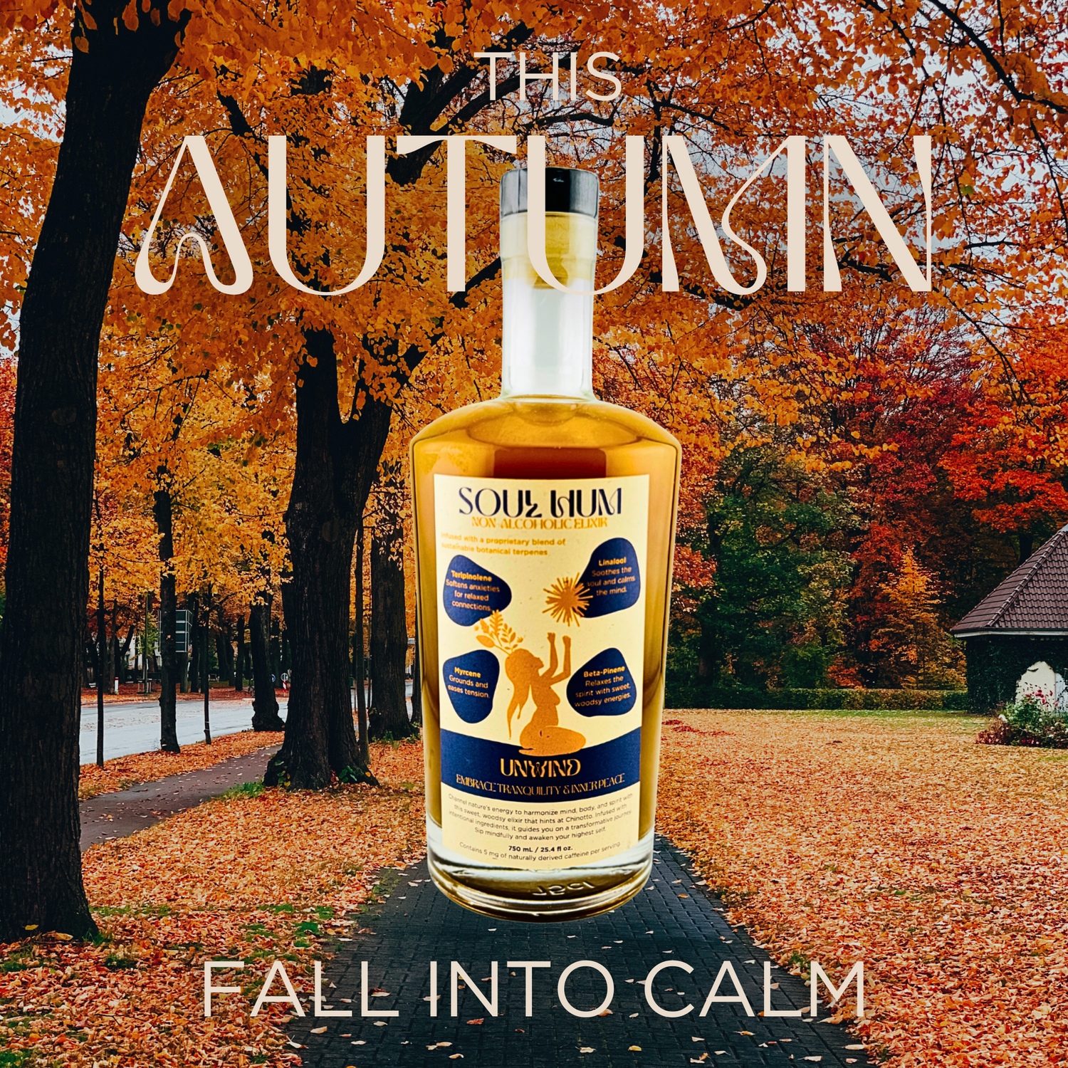 Unwind Elixir