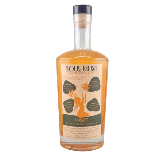 Botanical Infused Non-Alcoholic Elixirs – Soul Hum Elixirs